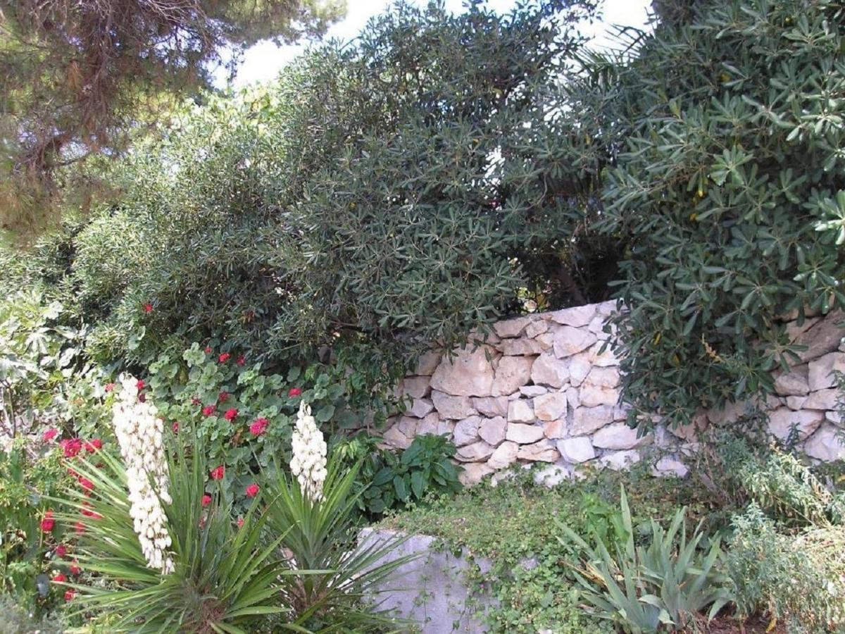 Zelko - With Garden Appartamento Hvar Town